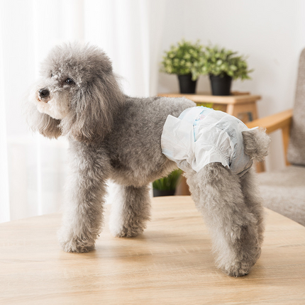 Pañales para Perro Desechable Hembra Pañal Sanitarios para Mascotas Bragas Higiénicas Suaves Super Absorbentes