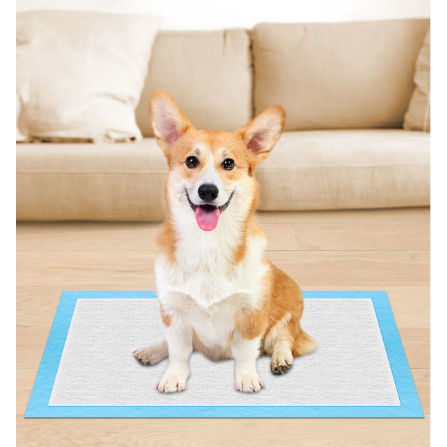 Empapadores Desechables Perros Gatos Almohadillas para Cachorros Mascota Super Absorbente Prueba de Fugas