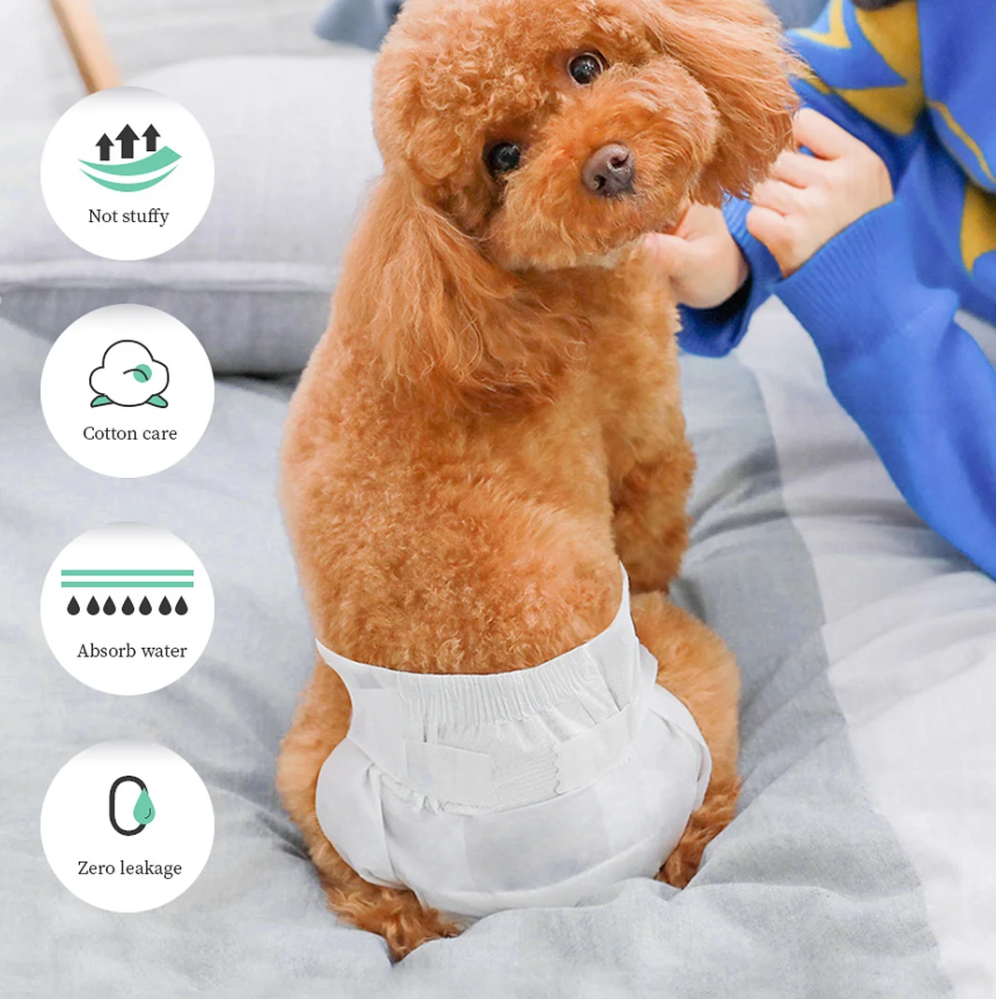 Pañales desechables para perros machos pañal sanitarios para perro mas –  seleok