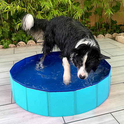Piscina Plegable para Perros Antideslizante Bañera PVC para Verano Refrescante Resistente y Fácil de Almacenar