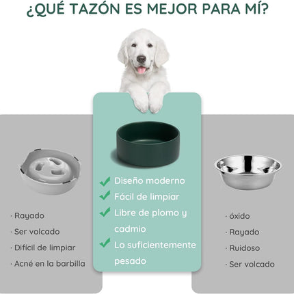Comedero Perro Gato Set de Cuencos Cerámicos para Mascotas con Soporte Bambú Duradero Fácil Limpieza Antideslizante 400/850ML
