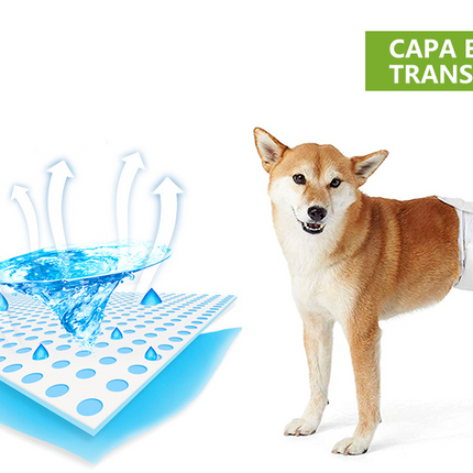 Pañales desechables para perros machos pañal sanitarios para perro mascotas bragas higiénicas suaves absorbentes